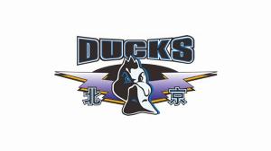 北京男籃安排了相關(guān)人員觀看NBA夏聯(lián) 對(duì)心儀的外援進(jìn)行了考察