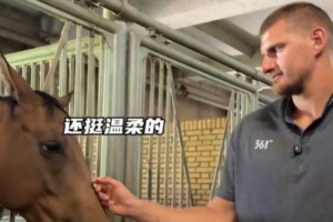 約老師看到馬就滿眼寵溺 與濮老師和于老師暢聊對(duì)馬對(duì)生活的熱愛(ài)