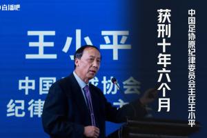 朱曉剛怒批王小平：被這么個人簽字停賽真挺恥辱