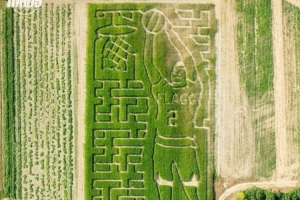 整活新高度??！獨行俠曬照 新科狀元弗拉格被“種”進(jìn)了玉米地