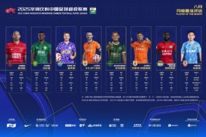 中超8月最佳候選：瓦科、米特里策、費利佩在列，吳亞軻入圍