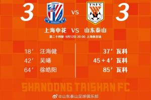 雖然我們沒有在上海帶走勝利，但是充分展示了什么是泰山隊精神！