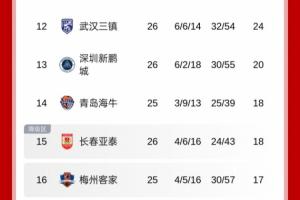 地獄難度！積分榜：新鵬城僅領(lǐng)先降級(jí)區(qū)2分，將戰(zhàn)國(guó)安+申花+蓉城