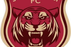 嘉定匯龍官方：截至上輪，足協(xié)評議共三次漏判給本隊點球 ???