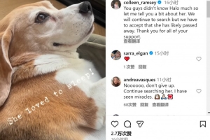 拉姆塞夫婦談愛(ài)犬失蹤：會(huì)繼續(xù)尋找，但不得不接受狗狗可能離世