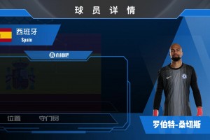 羅伯特-桑切斯球員集錦：心理素質(zhì)良好 制空能力強(qiáng)大的門將