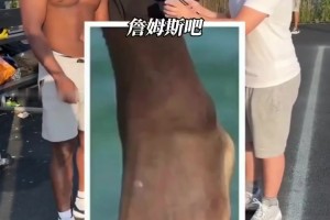 視頻會(huì)引起不適！職業(yè)球員的代價(jià)，這竟然是詹姆斯和哈登的腳？