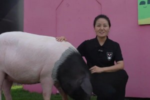 克里斯蒂前年拿到季中賽50萬(wàn)美金時(shí)表示：要存起來(lái)，以后買(mǎi)衣服