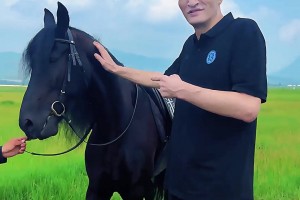 跟約老師PK一下哈！巴特爾草原上騎馬 結(jié)果馬直接罷工不走了~