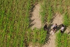 排面啊??獨(dú)行俠狀元弗拉格走進(jìn)有著自己巨幅剪影的玉米地~~