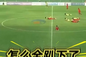 快臥草??！坦桑尼亞賽場(chǎng)驚現(xiàn)“蜜蜂風(fēng)波”，球員紛紛趴在地上