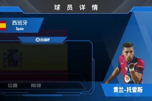 費(fèi)蘭球員集錦：跑位瀟灑 射術(shù)一流的西班牙前鋒