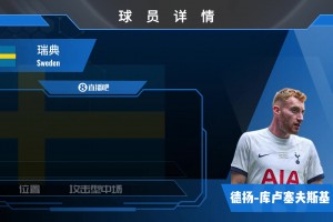 球員集錦：瑞典邊路突擊手 可勝任邊鋒/前腰的金左腳庫盧